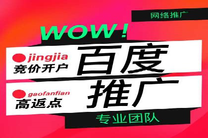 百度推广费用案例分析：如何提高广告投放效果